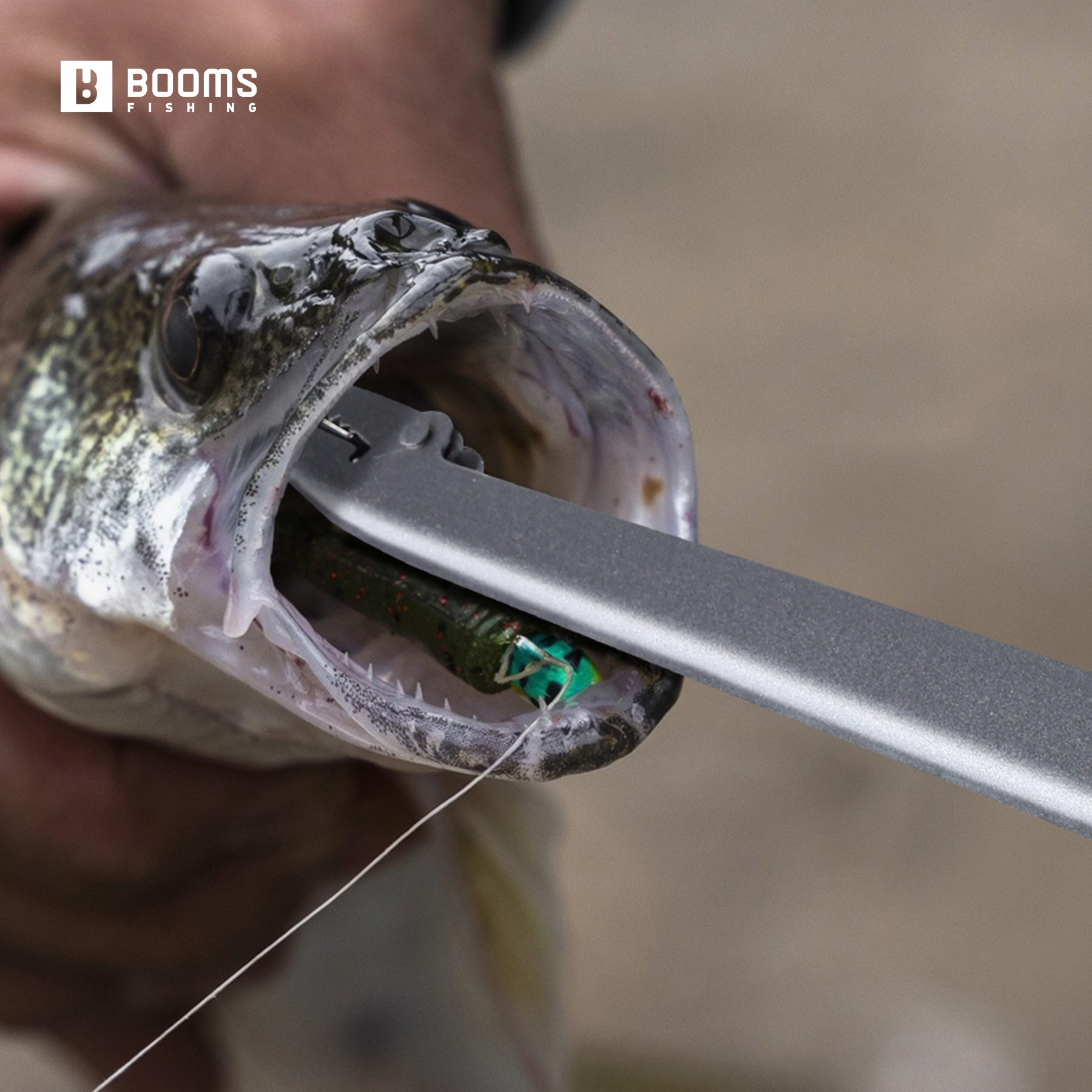 Booms Fishing 25cm Carbon Stee - Used Fishing Equipment Near Me recensie en prijs